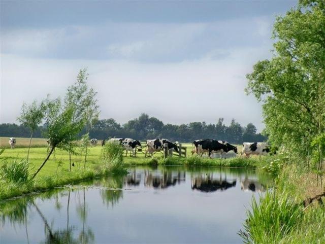 Apud Nos Domi Aparthotel Polsbroek ภายนอก รูปภาพ